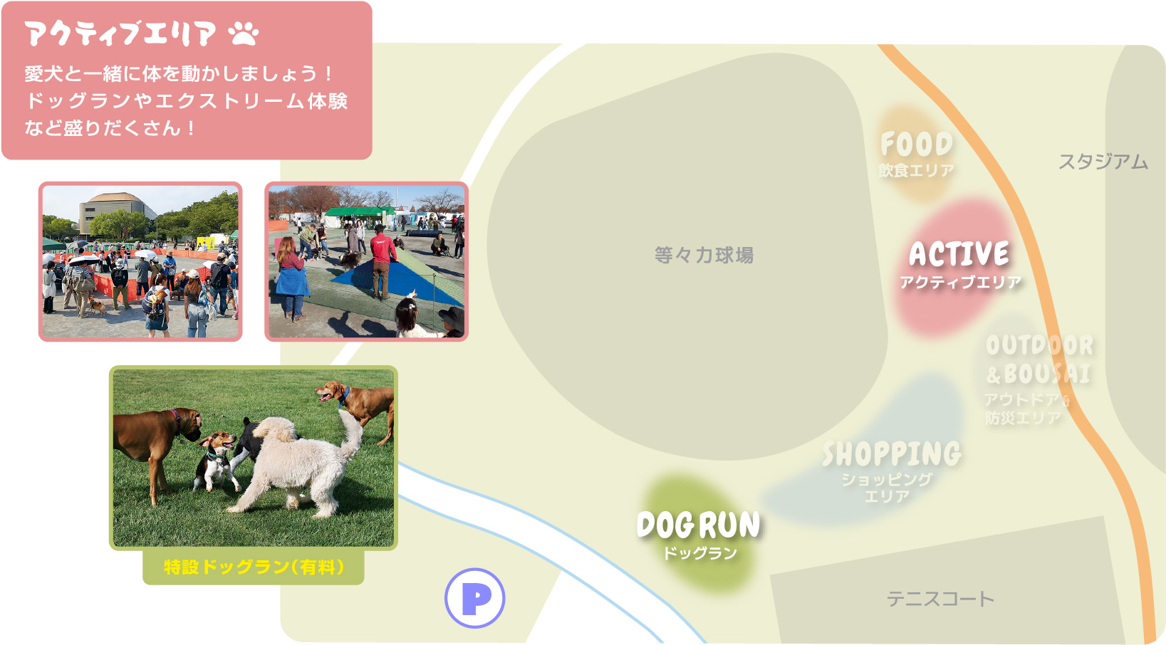 アクティブエリア