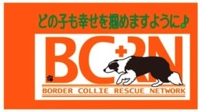 BCRN