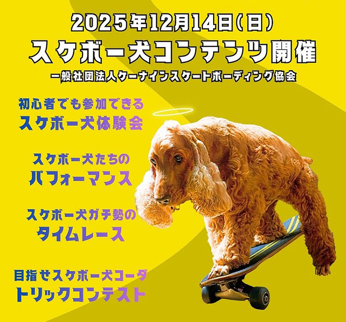 14日限定★スペシャルコンテンツ開催決定！