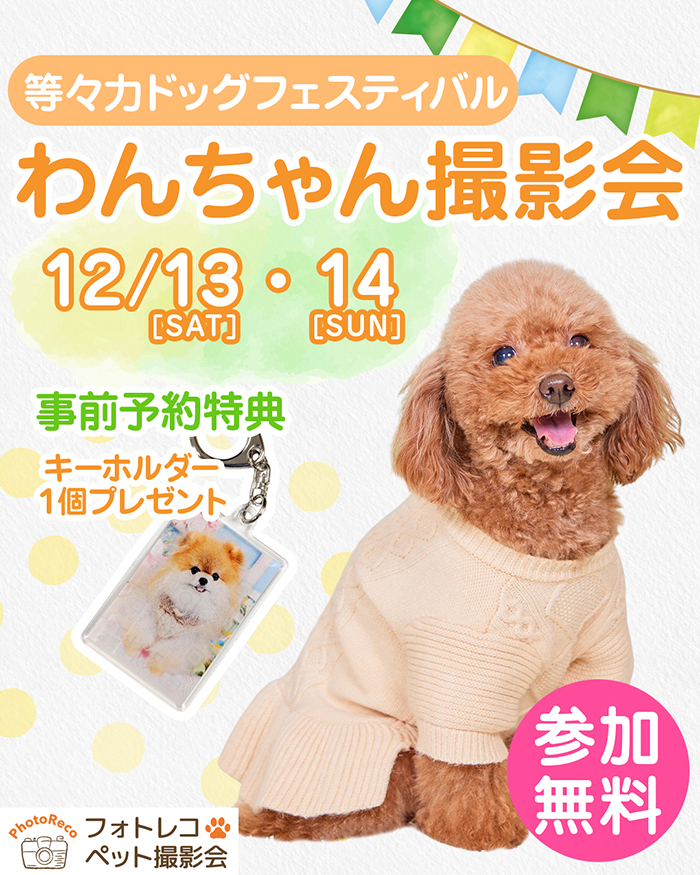 フォトレコわんちゃん撮影会