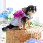 06.ココアトワ③w650