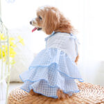 06.ココアトワ④w650