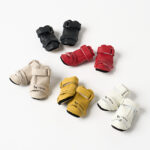 10_Canis-TENNOTTO③w650