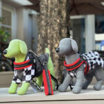 Gemelli自由が丘店