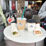 16.Gemelli自由が丘店③w650