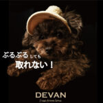 DEVAN①