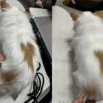 MK+K+木象嵌⑤