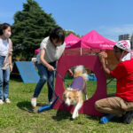エクストリーム体験①